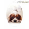 Placca Funebre per Animali in Porcellana Personalizzata | Fotoceramica Online