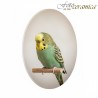 Placca Funebre per Animali in Porcellana Personalizzata | Fotoceramica Online