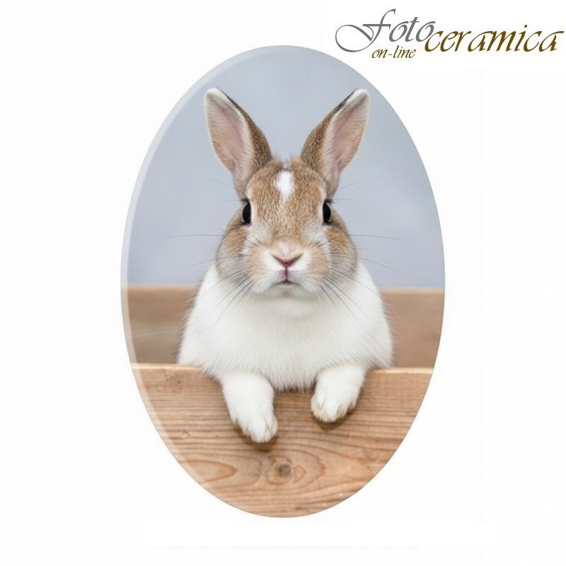 Placca Funebre per Animali in Porcellana Personalizzata | Fotoceramica Online